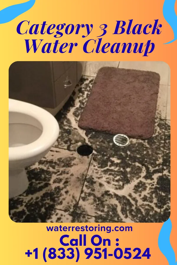 Category 3 Black Water Cleanup in Ontonagon, MI