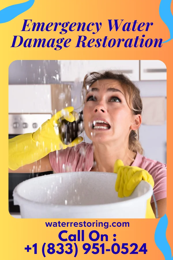 Emergency Water Damage Restoration in Ontonagon, MI