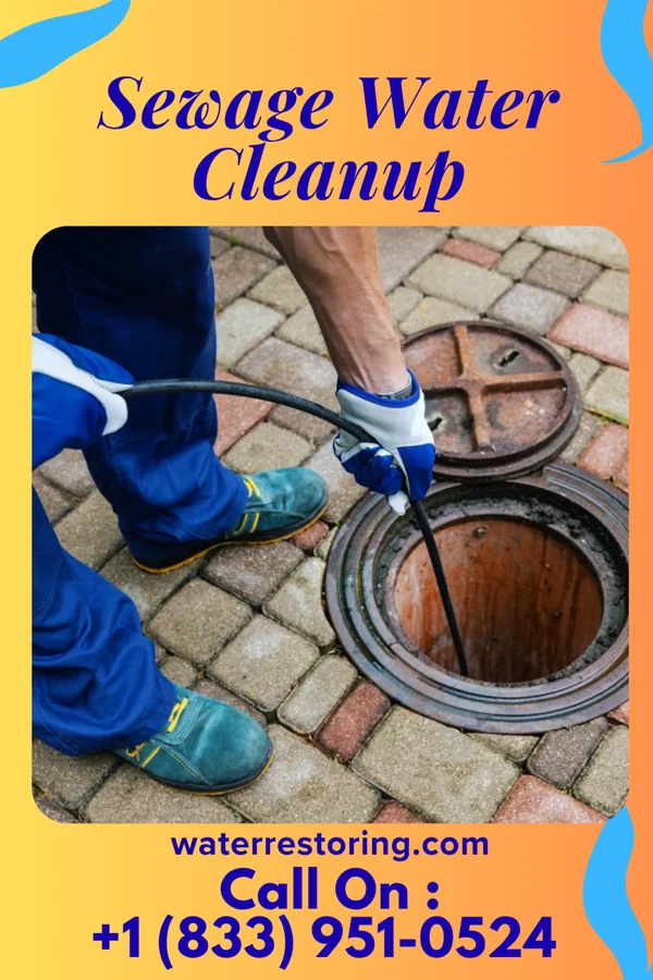 Sewage Water Cleanup in Ontonagon, MI