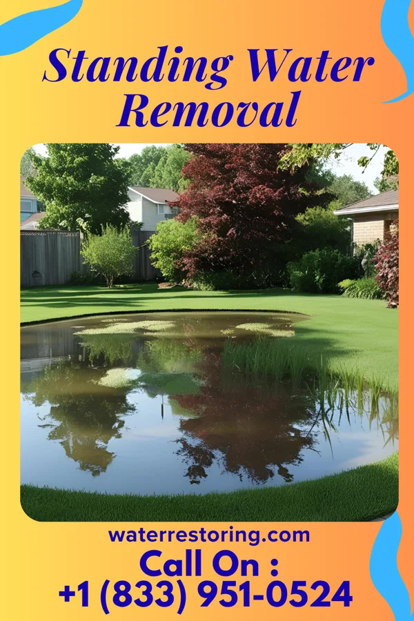 Standing Water Removal in Ontonagon, MI